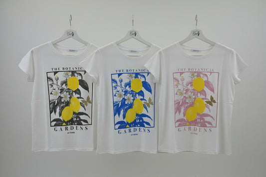 T Shirt Garden of Rome